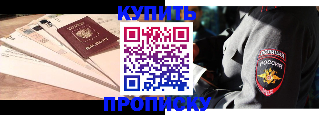прописка поиск в Бийске